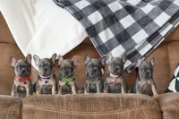 processed/634e7131-b04c-494a-8ec3-18e8a8969807/facility/83259860-f661-4a4e-900d-d8ee23d16da5