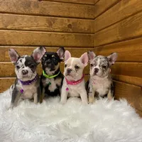 processed/634e7131-b04c-494a-8ec3-18e8a8969807/facility/c94d131e-9a1a-4dcc-9888-6e3aef6afb15