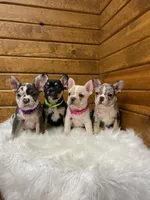 processed/634e7131-b04c-494a-8ec3-18e8a8969807/facility/c94d131e-9a1a-4dcc-9888-6e3aef6afb15