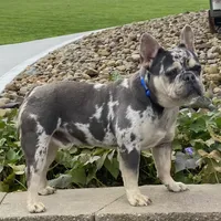 processed/634e7131-b04c-494a-8ec3-18e8a8969807/facility/cb4f5855-dcc4-4c73-b7e9-e6e3569b24b8