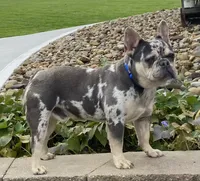 processed/634e7131-b04c-494a-8ec3-18e8a8969807/facility/cb4f5855-dcc4-4c73-b7e9-e6e3569b24b8