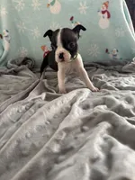 processed/634efeb2-ba4a-42a9-8dc7-95701344f666/listing/bcac4d7a-3281-48e7-bbbe-6a08b0b1633c/21b2a4b1-40f8-4948-9f52-8dd44505561a