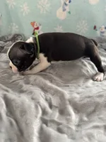 processed/634efeb2-ba4a-42a9-8dc7-95701344f666/listing/bcac4d7a-3281-48e7-bbbe-6a08b0b1633c/964e85f1-5ccc-4280-844a-ffc0b3ff7126