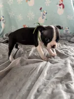 processed/634efeb2-ba4a-42a9-8dc7-95701344f666/listing/bcac4d7a-3281-48e7-bbbe-6a08b0b1633c/e96b1c74-b445-48e6-a1cb-bfb8c658de02