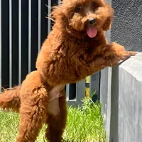 processed/634f0940-48e9-4522-9a57-1acde32fec2e/facility/132fdee2-a53a-4328-aaeb-5272aa3426de