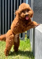 processed/634f0940-48e9-4522-9a57-1acde32fec2e/facility/132fdee2-a53a-4328-aaeb-5272aa3426de