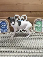 Moyo, a female Whippet for sale in Caryville, FL – 1 of 9