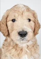 processed/636721c5-9379-4a15-8cb7-69b872e7ad6e/listing/8ce83627-6364-4959-8073-ca618d11119c/12afa0f8-e1e8-40e4-a0c9-d47859c30f8f