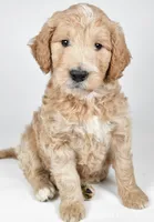 processed/636721c5-9379-4a15-8cb7-69b872e7ad6e/listing/8ce83627-6364-4959-8073-ca618d11119c/541f2600-9189-49dc-af85-9320542dfcfe