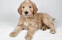 processed/636721c5-9379-4a15-8cb7-69b872e7ad6e/listing/8ce83627-6364-4959-8073-ca618d11119c/a01d7b29-19af-4b57-a8b7-76872359ef3c