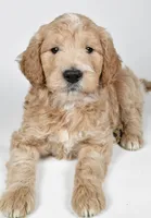 processed/636721c5-9379-4a15-8cb7-69b872e7ad6e/listing/8ce83627-6364-4959-8073-ca618d11119c/c62ce5f9-246a-44a9-88d0-826678fb4bd9