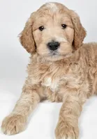 processed/636721c5-9379-4a15-8cb7-69b872e7ad6e/listing/8ce83627-6364-4959-8073-ca618d11119c/da9edc84-7da5-49c2-a8a5-41d72be83e10