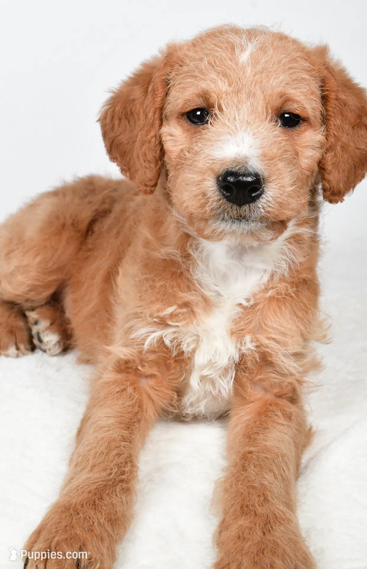 processed/636721c5-9379-4a15-8cb7-69b872e7ad6e/listing/f5d87cc1-80d7-4bac-a32f-a582a3ccaf88/1ce3125b-55d9-4558-9d4d-0f52425d4762