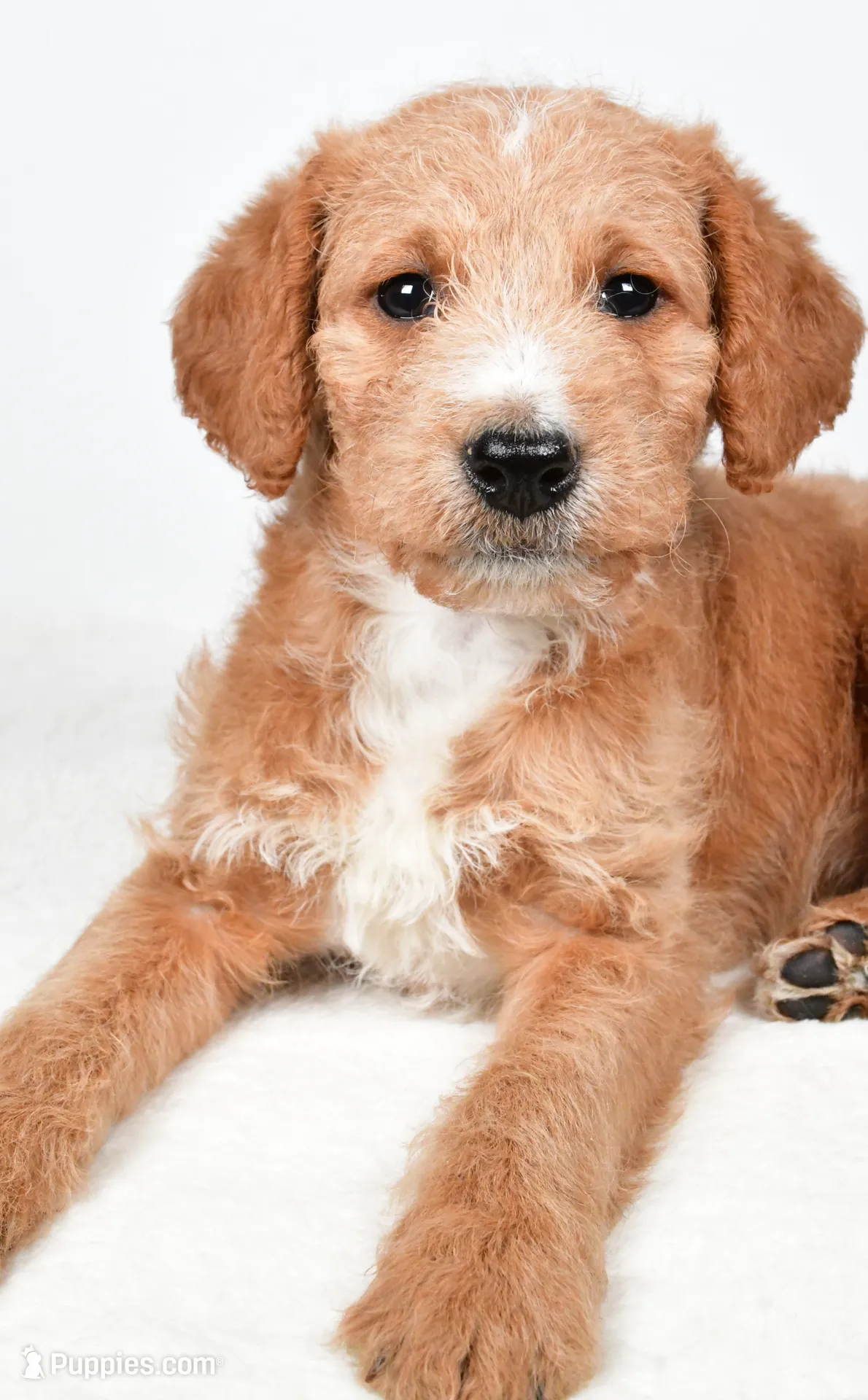 processed/636721c5-9379-4a15-8cb7-69b872e7ad6e/listing/f5d87cc1-80d7-4bac-a32f-a582a3ccaf88/39316d4d-20cc-42b9-becc-d7630125baf9