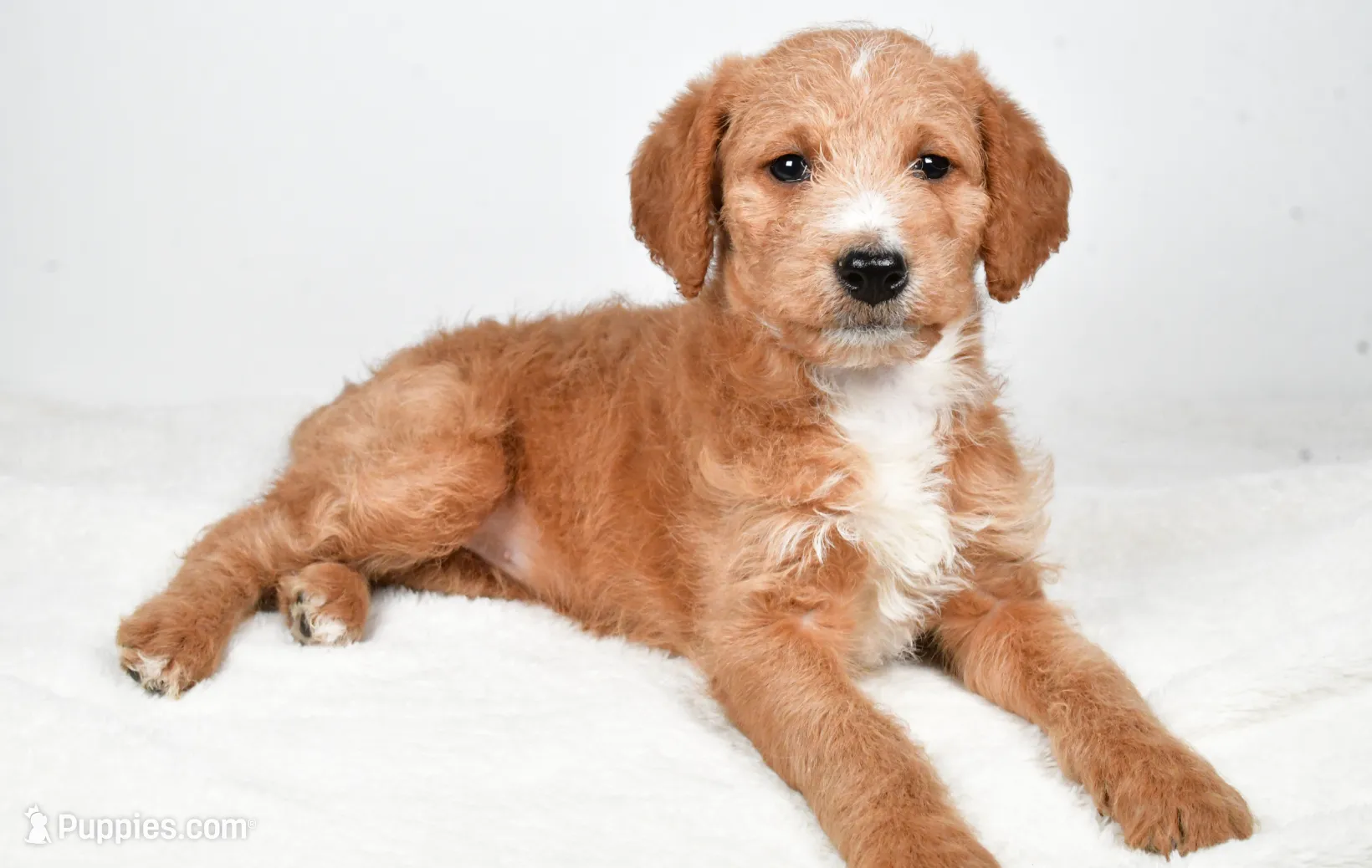 processed/636721c5-9379-4a15-8cb7-69b872e7ad6e/listing/f5d87cc1-80d7-4bac-a32f-a582a3ccaf88/699aeb70-b961-4530-8355-25da4f9a954b