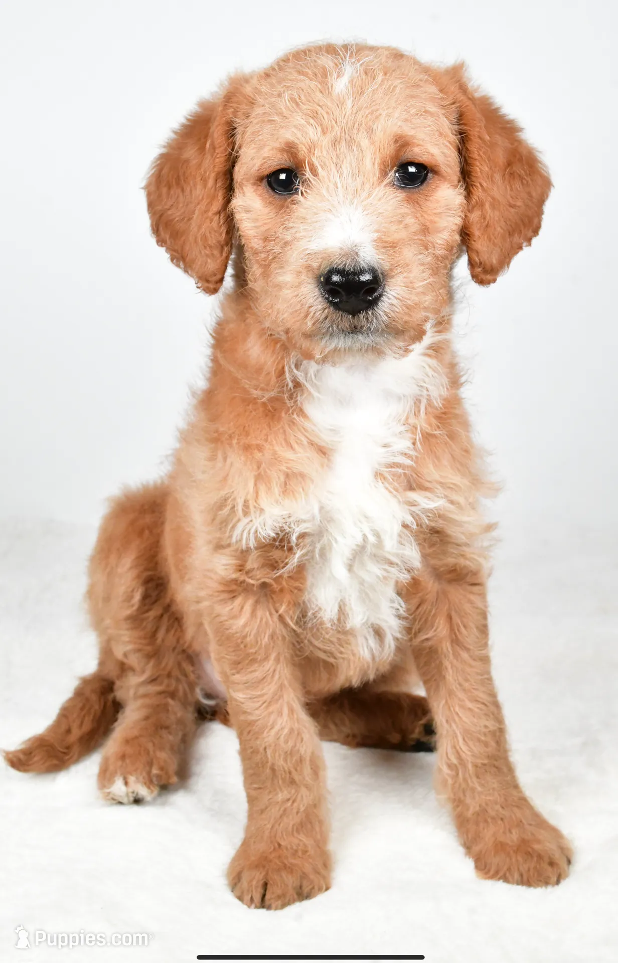 processed/636721c5-9379-4a15-8cb7-69b872e7ad6e/listing/f5d87cc1-80d7-4bac-a32f-a582a3ccaf88/c31fa434-2dc5-4024-87b3-d8d0262380a3