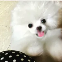 processed/636822b1-ac3a-46a2-96fe-d14aa6648ebe/facility/09e63735-a90e-4eb4-ba7b-c6b3a36621f1