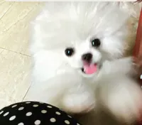 processed/636822b1-ac3a-46a2-96fe-d14aa6648ebe/facility/09e63735-a90e-4eb4-ba7b-c6b3a36621f1