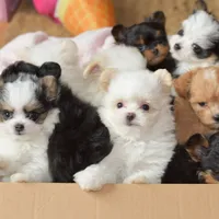 processed/636822b1-ac3a-46a2-96fe-d14aa6648ebe/facility/0c19278c-5c3b-4af5-a922-cf5358757354