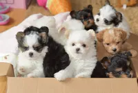 processed/636822b1-ac3a-46a2-96fe-d14aa6648ebe/facility/0c19278c-5c3b-4af5-a922-cf5358757354