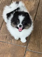 processed/636822b1-ac3a-46a2-96fe-d14aa6648ebe/facility/1f7be1e6-8a67-4f5c-abfa-ed527730d608