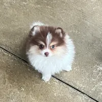 processed/636822b1-ac3a-46a2-96fe-d14aa6648ebe/facility/24291960-b1b4-43dd-94d2-6624f50a0a40