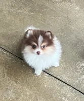 processed/636822b1-ac3a-46a2-96fe-d14aa6648ebe/facility/24291960-b1b4-43dd-94d2-6624f50a0a40