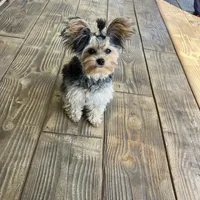 processed/636822b1-ac3a-46a2-96fe-d14aa6648ebe/facility/7d37e624-7e03-4b38-8e7c-0d2d6b861cd9