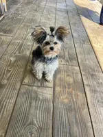 processed/636822b1-ac3a-46a2-96fe-d14aa6648ebe/facility/7d37e624-7e03-4b38-8e7c-0d2d6b861cd9