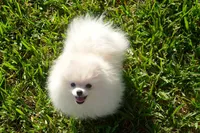 processed/636822b1-ac3a-46a2-96fe-d14aa6648ebe/facility/a8d4cb18-91f6-45b9-9a9b-aca944ad7d48