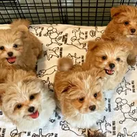 processed/636822b1-ac3a-46a2-96fe-d14aa6648ebe/facility/c7656563-9a25-4498-a33a-893750973975