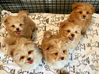 processed/636822b1-ac3a-46a2-96fe-d14aa6648ebe/facility/c7656563-9a25-4498-a33a-893750973975