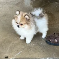 processed/636822b1-ac3a-46a2-96fe-d14aa6648ebe/facility/e7be4d58-77be-4e0d-bbad-c7e16142ae09