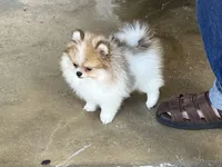 processed/636822b1-ac3a-46a2-96fe-d14aa6648ebe/facility/e7be4d58-77be-4e0d-bbad-c7e16142ae09