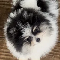 processed/636822b1-ac3a-46a2-96fe-d14aa6648ebe/facility/fc0eb90f-a990-4eba-894a-df12f50bd8f0