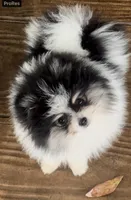 processed/636822b1-ac3a-46a2-96fe-d14aa6648ebe/facility/fc0eb90f-a990-4eba-894a-df12f50bd8f0