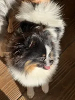 processed/636822b1-ac3a-46a2-96fe-d14aa6648ebe/listing/82ebccd9-0437-4178-ae78-91616c81f6a1/3cb920e6-d6a0-475d-a7ae-e220c146dff2