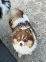 processed/636822b1-ac3a-46a2-96fe-d14aa6648ebe/listing/e648d179-cae7-45c9-9dbe-c62de507bf3f/1e21b844-46d7-4bc1-b64d-9defba6741d1