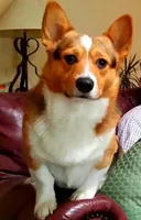 Facility photo