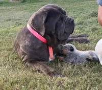 processed/636c3243-8948-46da-b3b7-5d28bd2ab095/facility/7f80a2ba-981f-43c3-8fcc-3583c3f78fd5