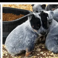 processed/636c3243-8948-46da-b3b7-5d28bd2ab095/facility/838826e5-7cf3-44b9-b45a-20cb4a5309e4