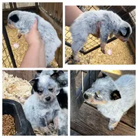 processed/636c3243-8948-46da-b3b7-5d28bd2ab095/facility/875d0494-2857-487a-beb5-c466d45c8796