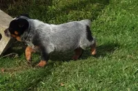 processed/636c3243-8948-46da-b3b7-5d28bd2ab095/facility/f81117be-a256-4510-a71f-f91217d2746f