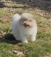 processed/636da371-380b-4dfa-843c-73250101d70c/listing/f1b30606-ecc0-44b6-a554-ddc38daa5686/669d4235-d3e6-4d9d-9187-64b3309e89ec