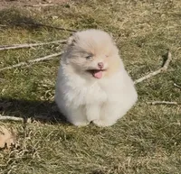 processed/636da371-380b-4dfa-843c-73250101d70c/listing/f1b30606-ecc0-44b6-a554-ddc38daa5686/a57d8fe1-0d07-42ed-a501-2f0558907a9b