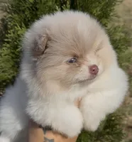 processed/636da371-380b-4dfa-843c-73250101d70c/listing/f1b30606-ecc0-44b6-a554-ddc38daa5686/b5932077-8119-4fe2-a2aa-5b820199ab49