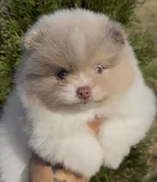 processed/636da371-380b-4dfa-843c-73250101d70c/listing/f1b30606-ecc0-44b6-a554-ddc38daa5686/e7e27cc9-4f9b-48ee-9747-60808bc95697