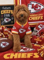 Yellow Boy, a male Goldendoodle for sale in Houston, TX – 2 of 10