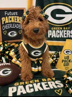 Dark green , a female Goldendoodle for sale in Houston, TX – 3 of 8
