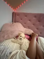 Roman , a male Poodle - Toy  for sale in Myrtle Beach, SC – Photo 5 of 7